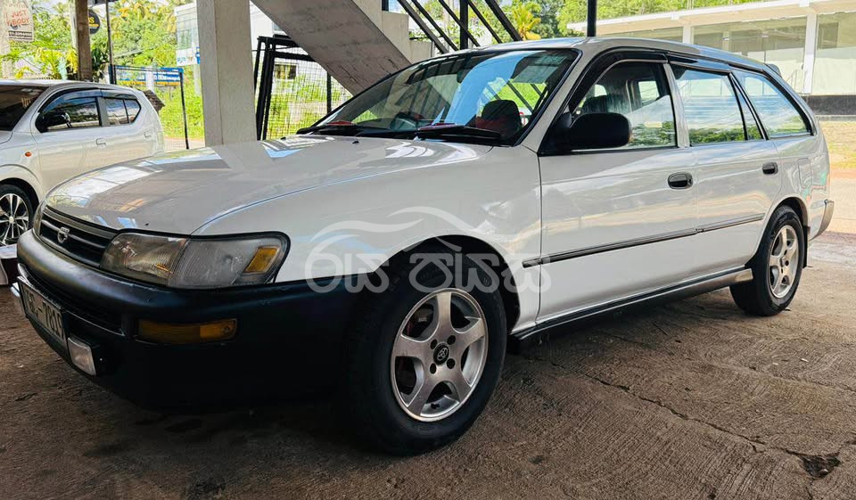 Toyota Corolla Elephant Back 108